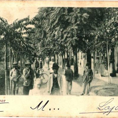Sombr Korzo 1900